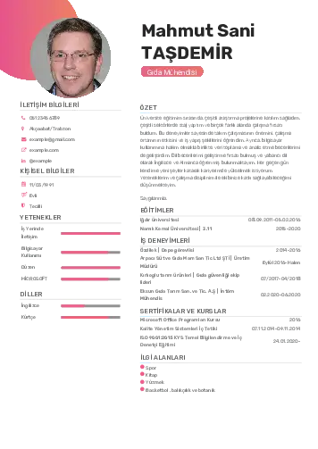 Gıda Mühendisi CV Örnekleri cv indir